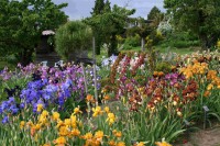 /album/galerie-de-photos-floraisons/jardin-du-cabanon-03-comp-jpg1/